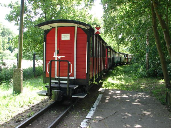 Biskupin