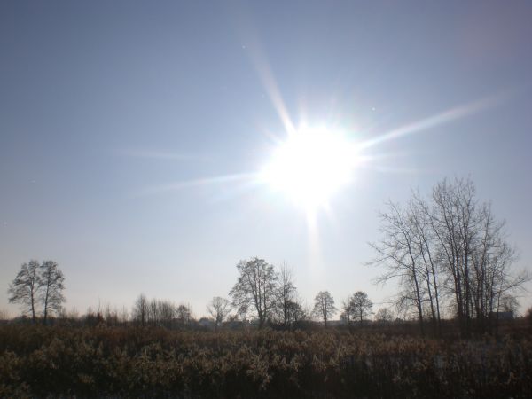 zdjecie Stare Siołkowice