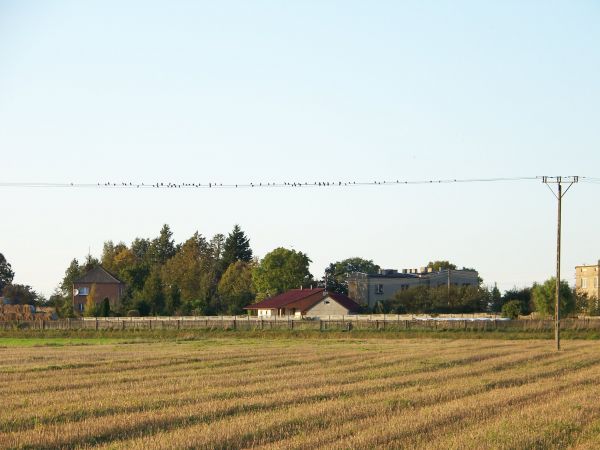 zdjecie Ługi-Radły