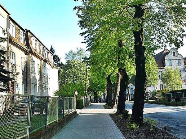 zdjecie Sulechów