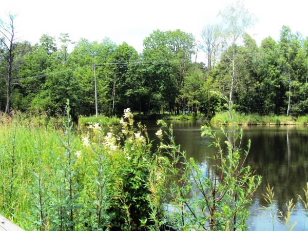 Jeden ze stawów w Zatylu.