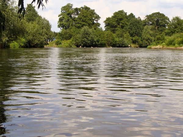 Ulanów-kąpielisko nad Tanwią