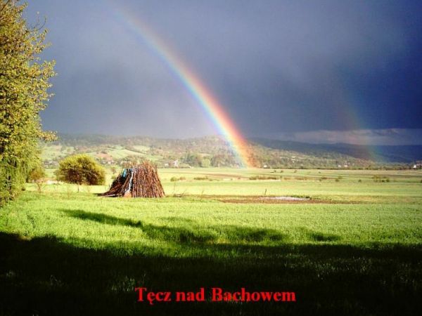 zdjecie Bachów