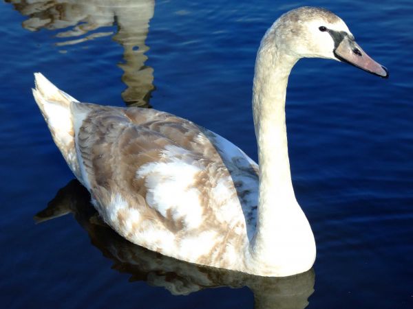 zdjecie Biała Podlaska