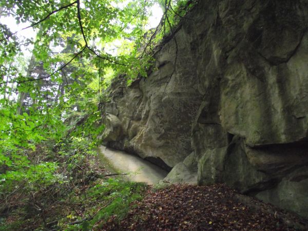 "Ściana skalna na Kostryniu" - pomnik przyrody, kiedyś czynny kamieniołom.