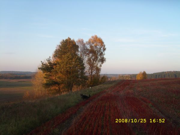 zdjecie Krępsk