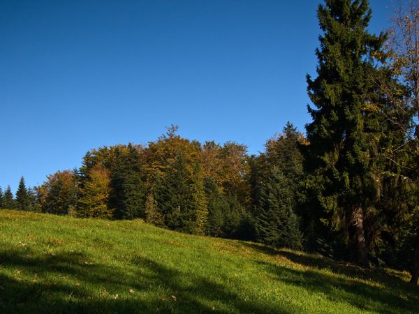 Festiwal jesiennych kolorów-Rytro