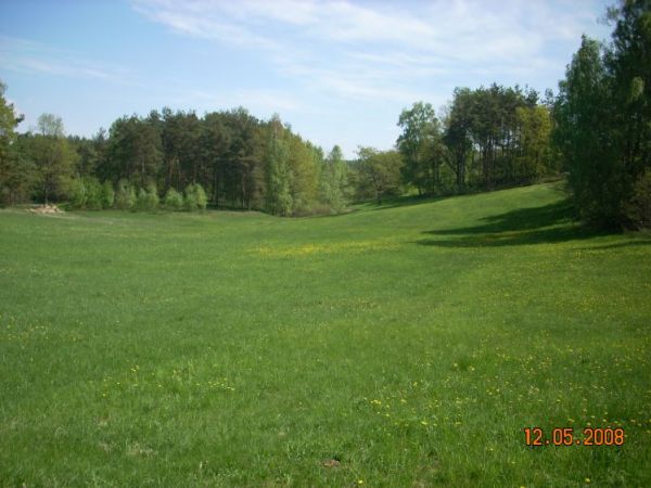 zdjecie Czarna Dąbrówka