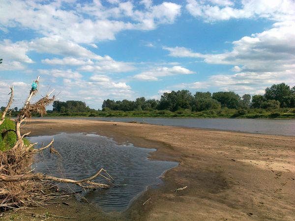 Wisła - naturalna  twórczyni  polskiego  krajobrazu.