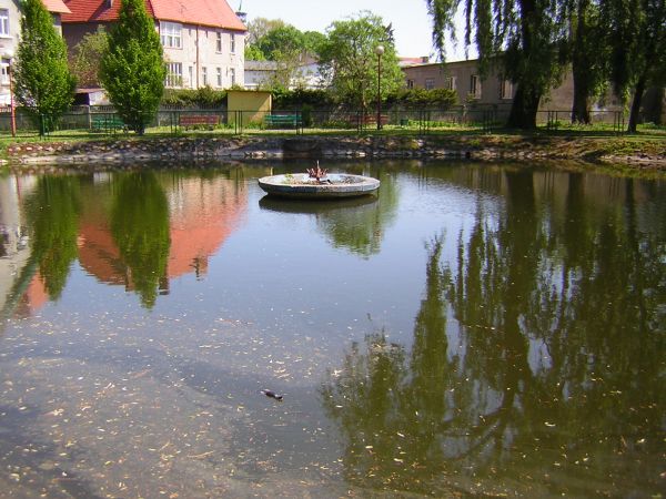 zdjecie Sulechów