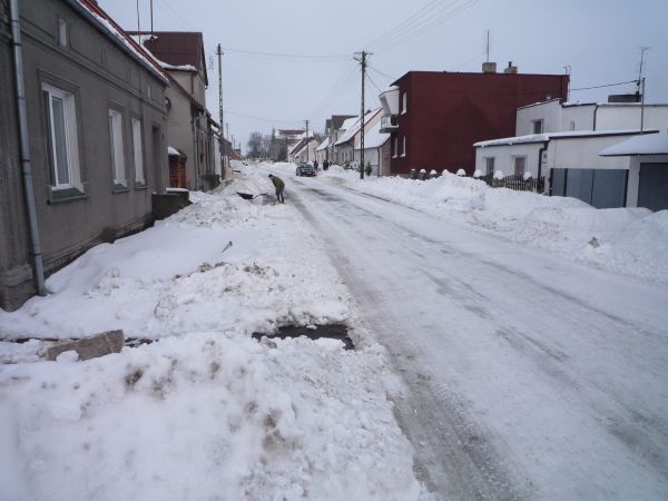 Łopienno w zimowej szacie.