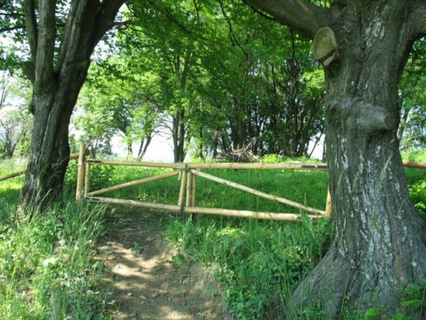 Wejście na cmentarz. Zdjęcie zrobione po częściowym uporządkowaniu w lipcu 2007 r.