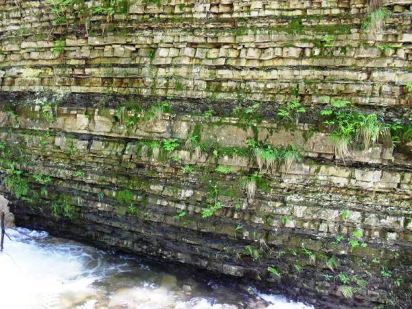 Flisz karpacki /przy drodze na Baranią Górę/