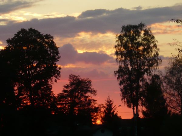 zdjecie Wola Wężykowa