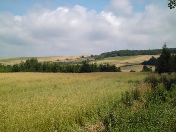 zdjecie Orłów Murowany