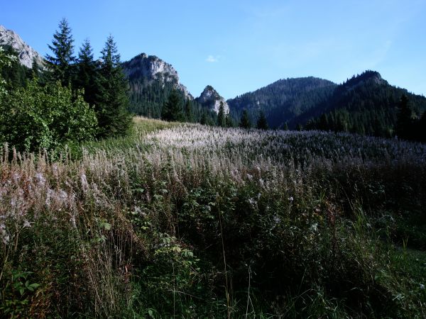 DOLINA KOŚCIELISKA