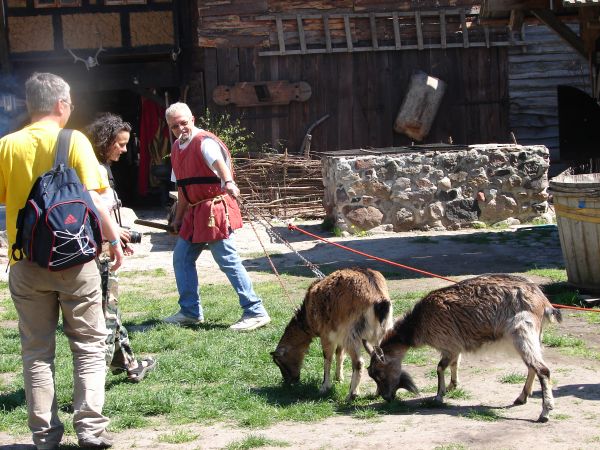 Stare Drawsko - zamek Drahim