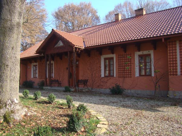 w parku za obiektem widoczne były nasadzenia trzmieliny pospolitej z rodziny dławiszowatych, której nasiona stanowią ulubiony pokarm rudzików  /nazywany również