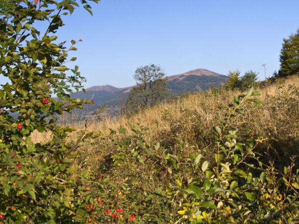 Przełęcz Wyżniańska -widok na Połoninę Wetlińską