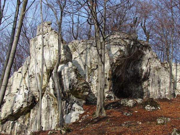 Siedlec ostańce zwane Skałami Cichymi
