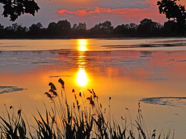 Stawy hodowlane Wielikąt k/Lubomi