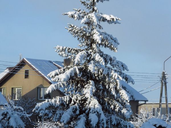 Zimową porą na naszym osiedlu