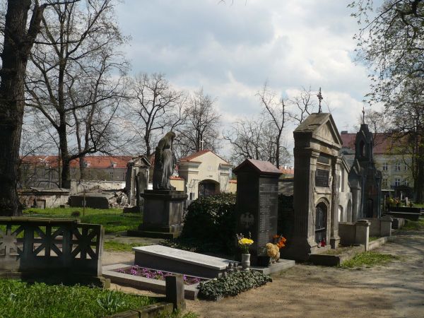 Jedna z alejek i ciekawe nagrobki .