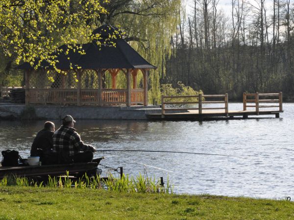 Wolsztyn, nad jeziorem Wolsztyńskim.