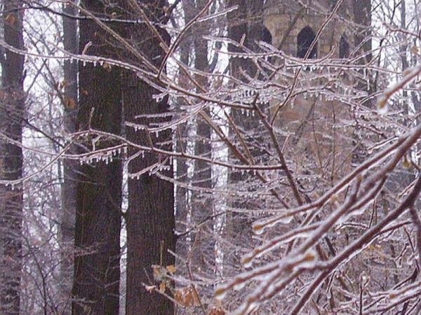 Za miastem zimą - las miejski z widokową (niegdyś) wieżą