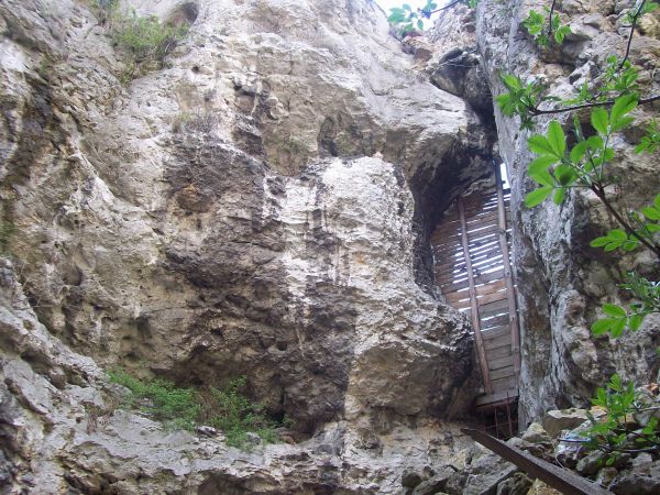 Zamek w Mirowie – zamek rycerski położony nieopodal wsi Mirów w województwie śląskim, na Szlaku Orlich Gniazd.