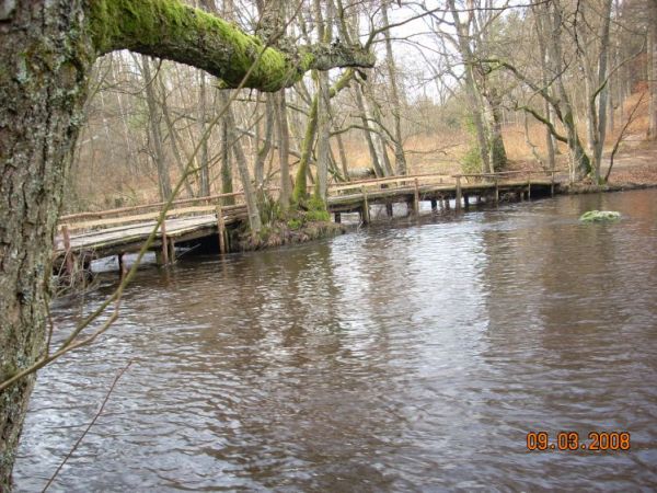 Rzeka Łupawa w okolicach Czarnej Dąbrówki.