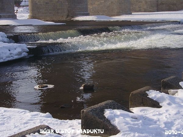 Przedwiośnie za miastem