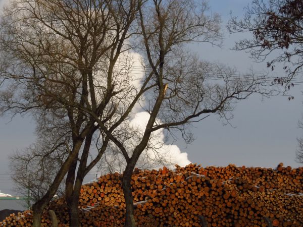 Fragment zakładu płyt drewnopochodnych Steico przy ulicy Mickiewicza