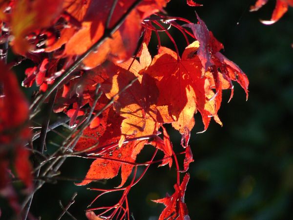 Chwila w Parku Oliwskim