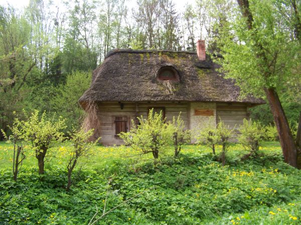 zdjecie Kazimierz Dolny