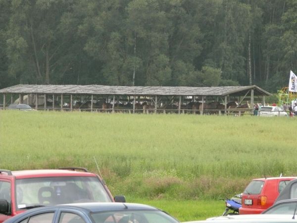 Zdjęcia Jasienówka