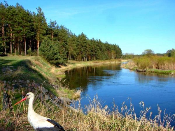 Wiosna nad Drwęcą.