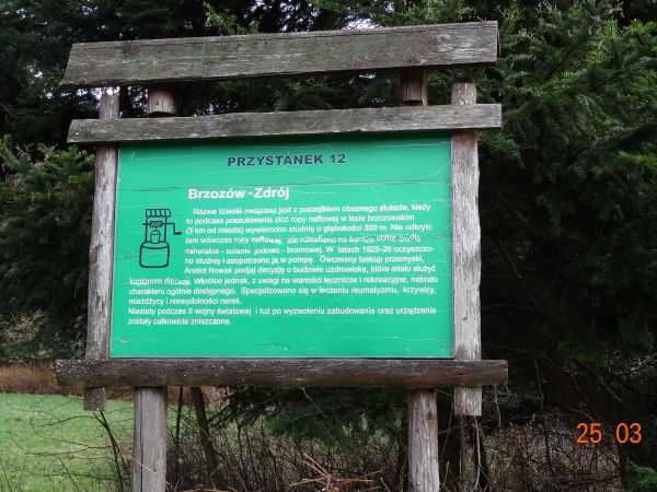 przystanków jest 15 - na "Ścieżce przyrodniczo - dydaktycznej", w latach 30-tych XX wieku odkryto tu bardzo obfite źródła mineralne - solanki jodowo-bromowej i