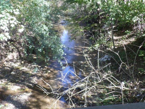 z nurtem Pielnicy - poziom wody skromny, widziane z tzw. ławy - tędy niegdyś wierni obrządku greko-katolickiego podążali na odpusty w cerkwi parafialnej w m. No