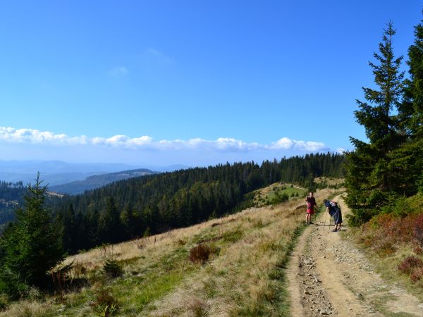 Liczne szlaki turystyczne, prowadzące przez górskie szczyty, są niewątpliwie największą atrakcją gminy Ujsoły.