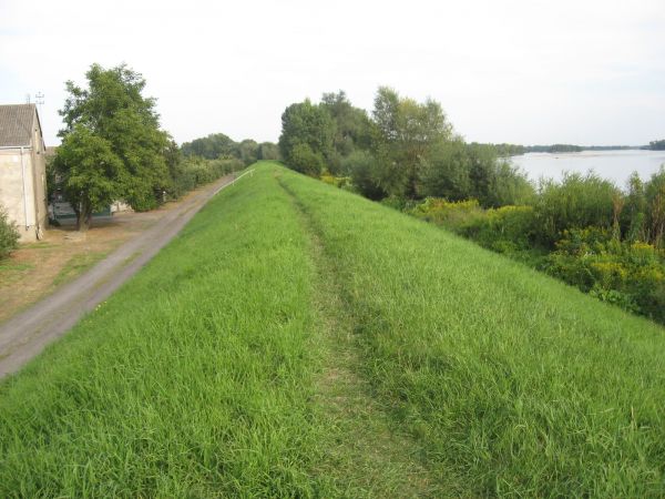 Wał Wiślany widok w górny bieg rzeki