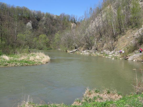 Wisłok - pięknym przełomem - Mymoń opuszcza, w miejscu zwanym "Skałkami", będzie próg na rzece, by spływ kry przed młynem "mocy pozbawić"!