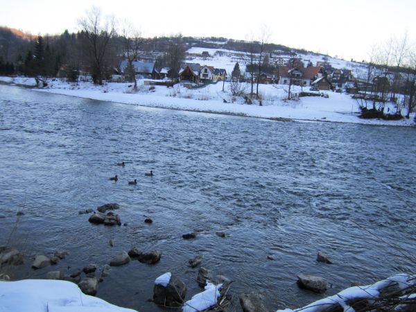 Dunajec zimą