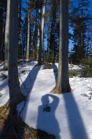 Na niebieskim szlaku-Rytro