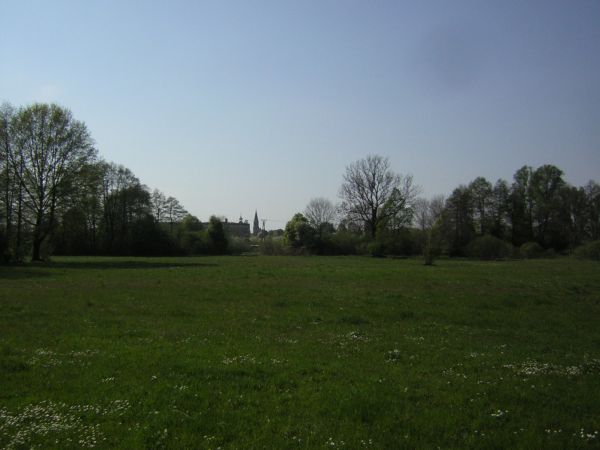 zdjecie Sulechów