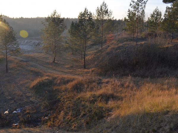 Waplewo Wielkie - żwirki  (grudzień 2014 rok)