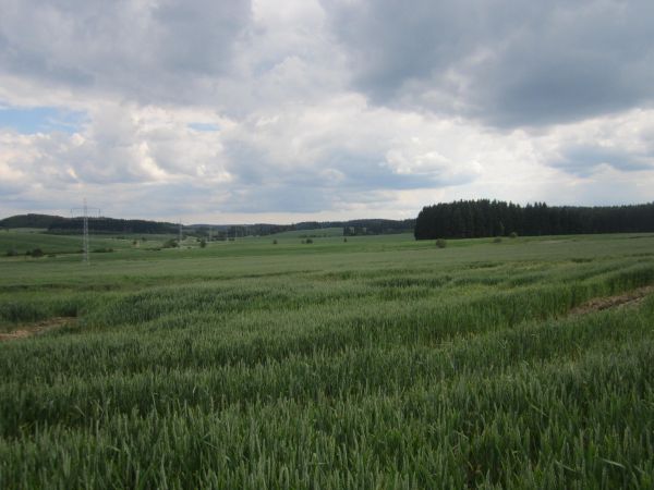 Panorama przy czerwonym szlaku sudeckim