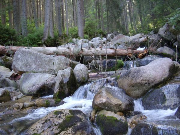 zdjecie Zakopane