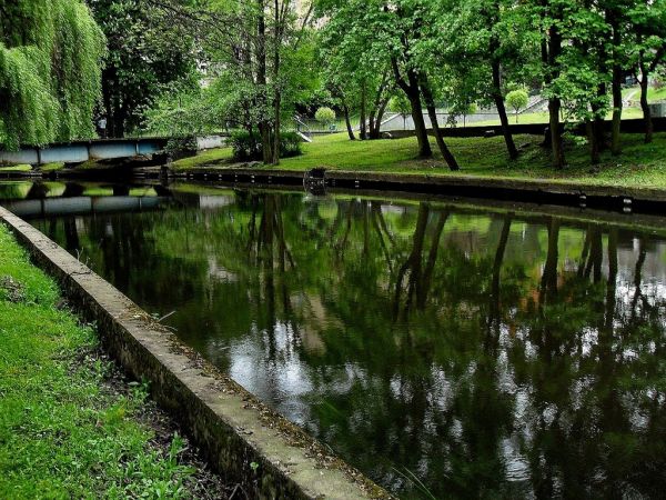 W Starogardzkim Parku nad Wierzycą