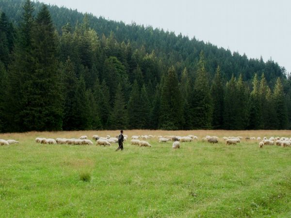 Dolina Kościeliska, Kościelisko